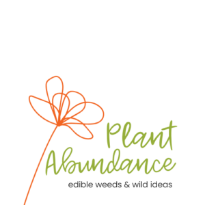 PLANT ABUNDANCE Logo transparent